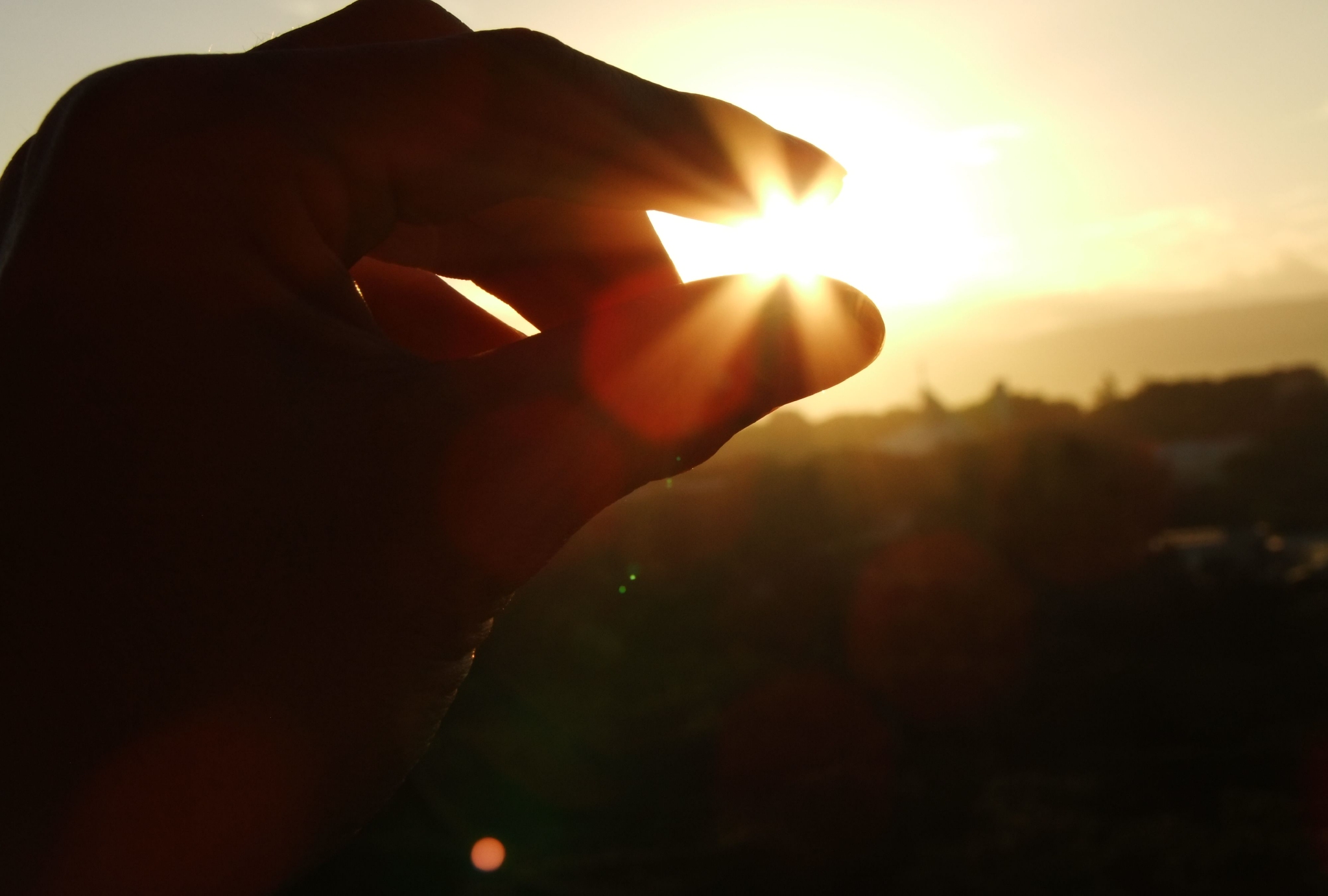 感受破晓之光|破晓之光|晨光|魔法_新浪新闻