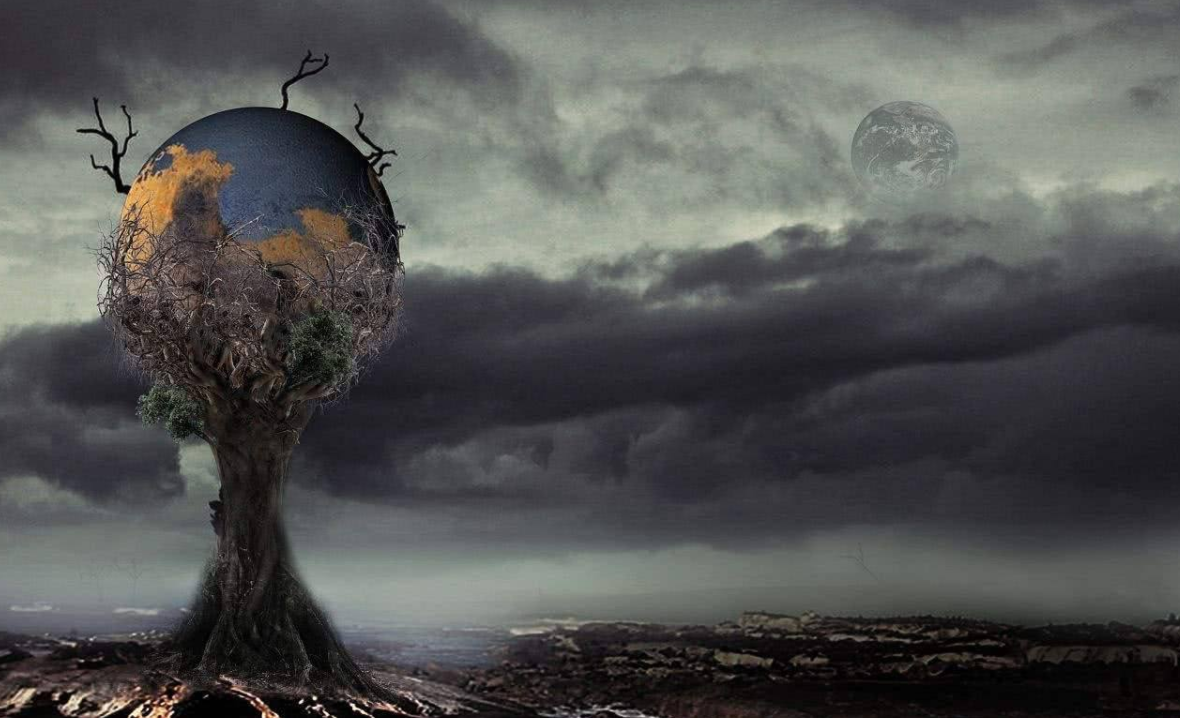 超50度高温袭击澳洲地球怎么了专家警告第六次大灭绝开始了