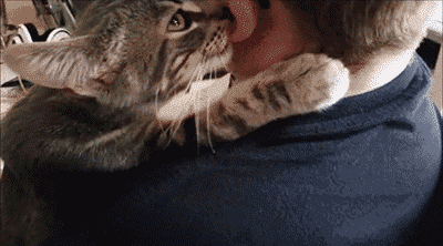 咬耳朵什么的好有爱哦