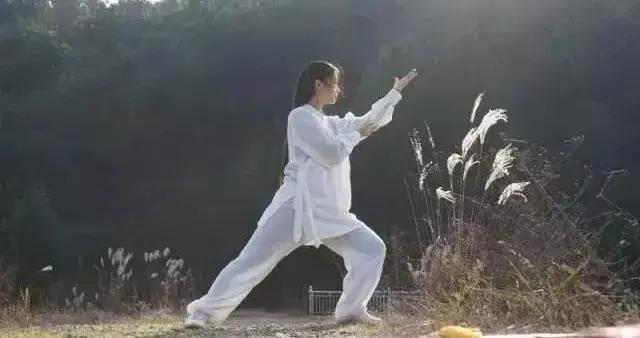 太极拳内功修炼的关键部位：尾闾|脊柱|尾巴|脑脊液|练功|周天_新浪新闻