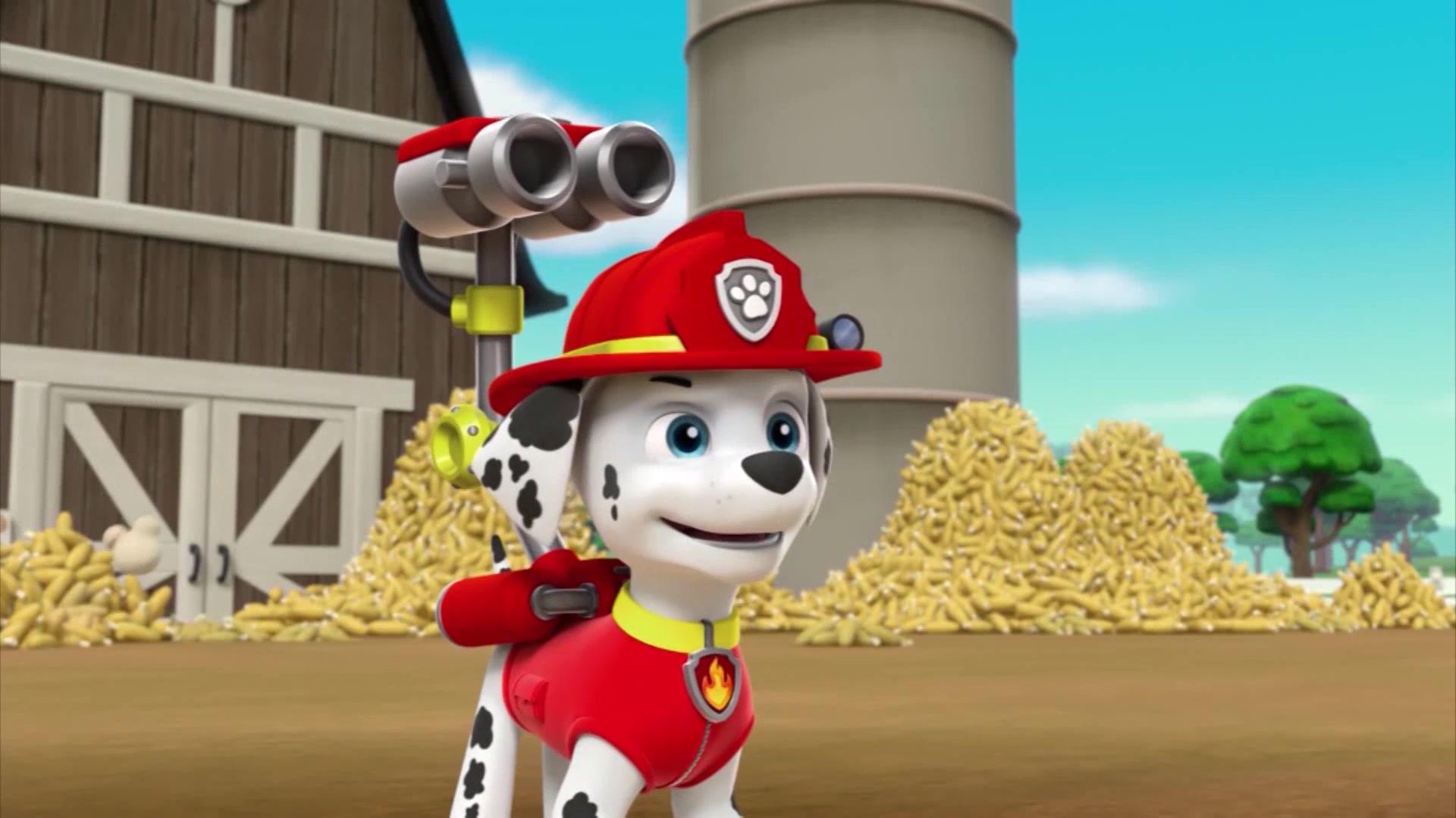 汪汪队立大功2:汪汪大队出动!高科技配狗,事半功倍!