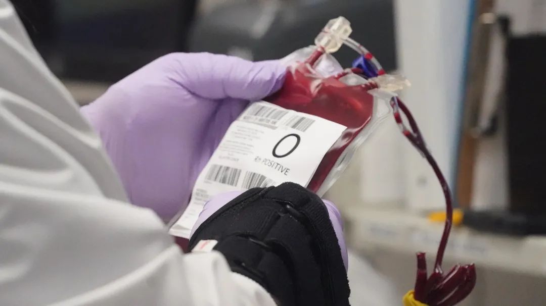 美墨边境沦为卖血工厂