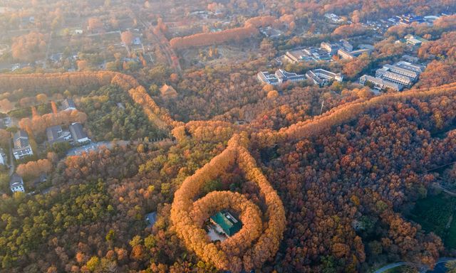 被南京深藏的绿宝石项链梧桐是最大看点十分梦幻