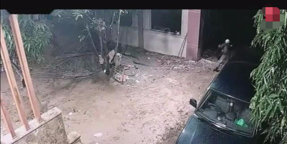 狗狗发现陌生人闯入,跑上前去一阵狂吠,随后男子当场一棒敲起休闲区蓝鸢梦想 - Www.slyday.coM 狗狗发现陌生人闯入,跑上前去一阵狂吠,随后男子当场一棒敲起休闲区蓝鸢梦想 - Www.slyday.coM