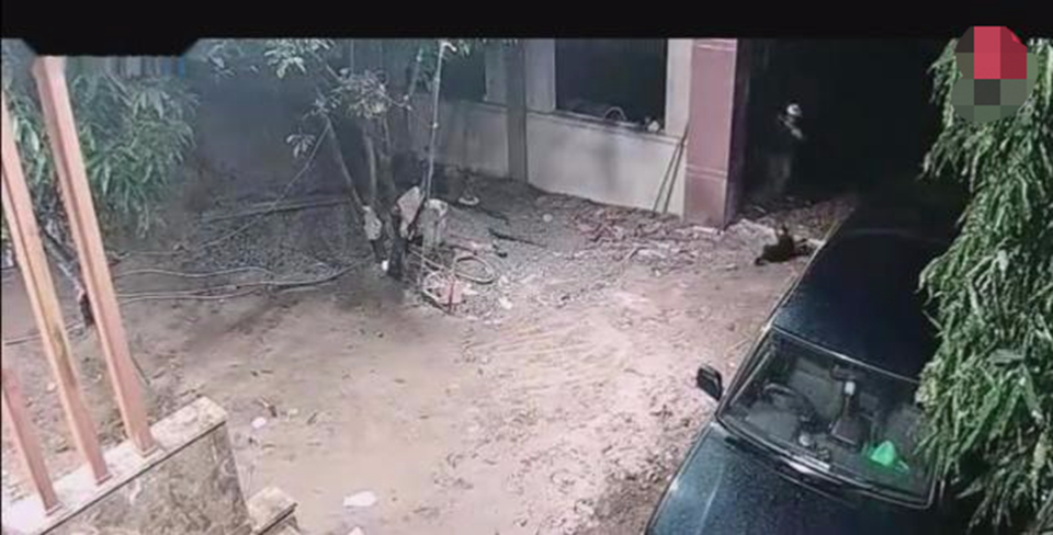 狗狗发现陌生人闯入,跑上前去一阵狂吠,随后男子当场一棒敲起休闲区蓝鸢梦想 - Www.slyday.coM 狗狗发现陌生人闯入,跑上前去一阵狂吠,随后男子当场一棒敲起休闲区蓝鸢梦想 - Www.slyday.coM