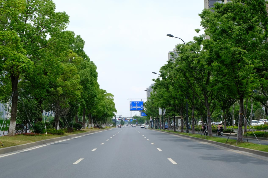 省级示范杭州9条街道街区上榜