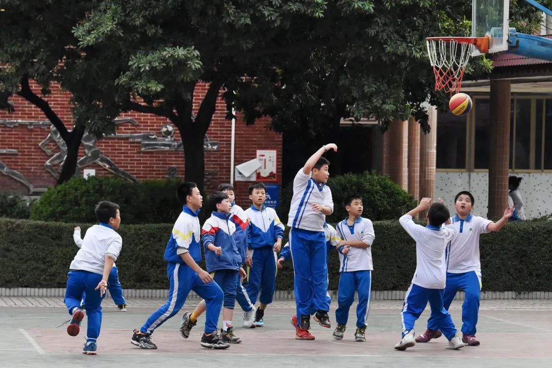 在课后服务上,同学们兴致勃勃地打篮球,享受篮球带来的魅力.