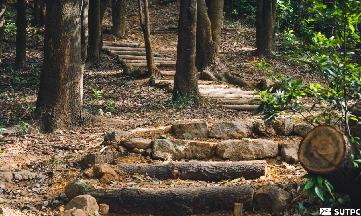梅林山清风手作步道上线深城交带你换个角度看深圳