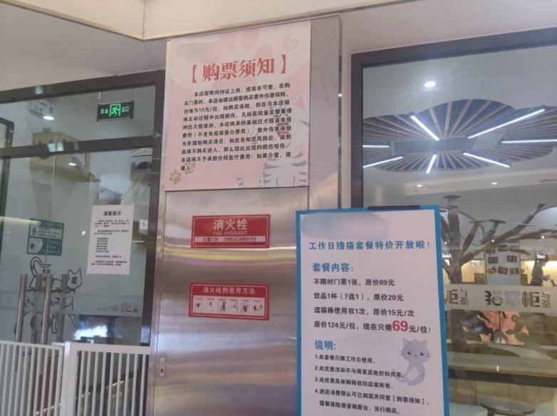 讲述:猫咖店撸猫被咬伤 赔偿成难题猫咖店就是以
