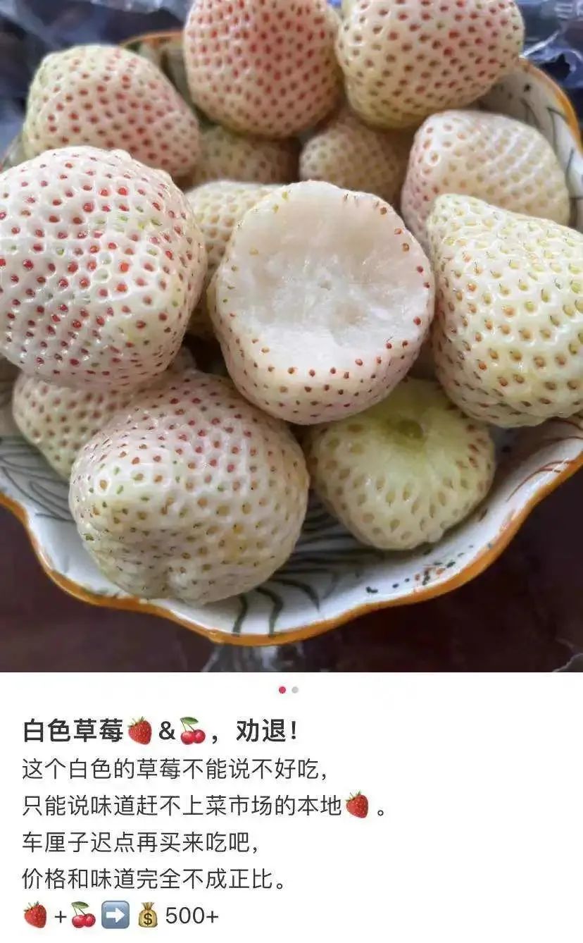 吃200元一斤的日本淡雪白草莓,就是财富自由|草莓|日本_新浪新闻