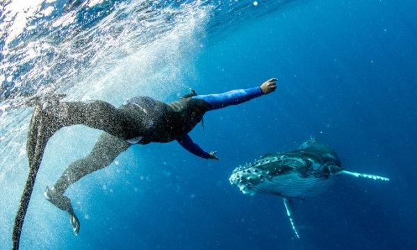 观鲸、看火山、参观原始部落,属于汤加的奇幻之旅休闲区蓝鸢梦想 - Www.slyday.coM 观鲸、看火山、参观原始部落,属于汤加的奇幻之旅休闲区蓝鸢梦想 - Www.slyday.coM