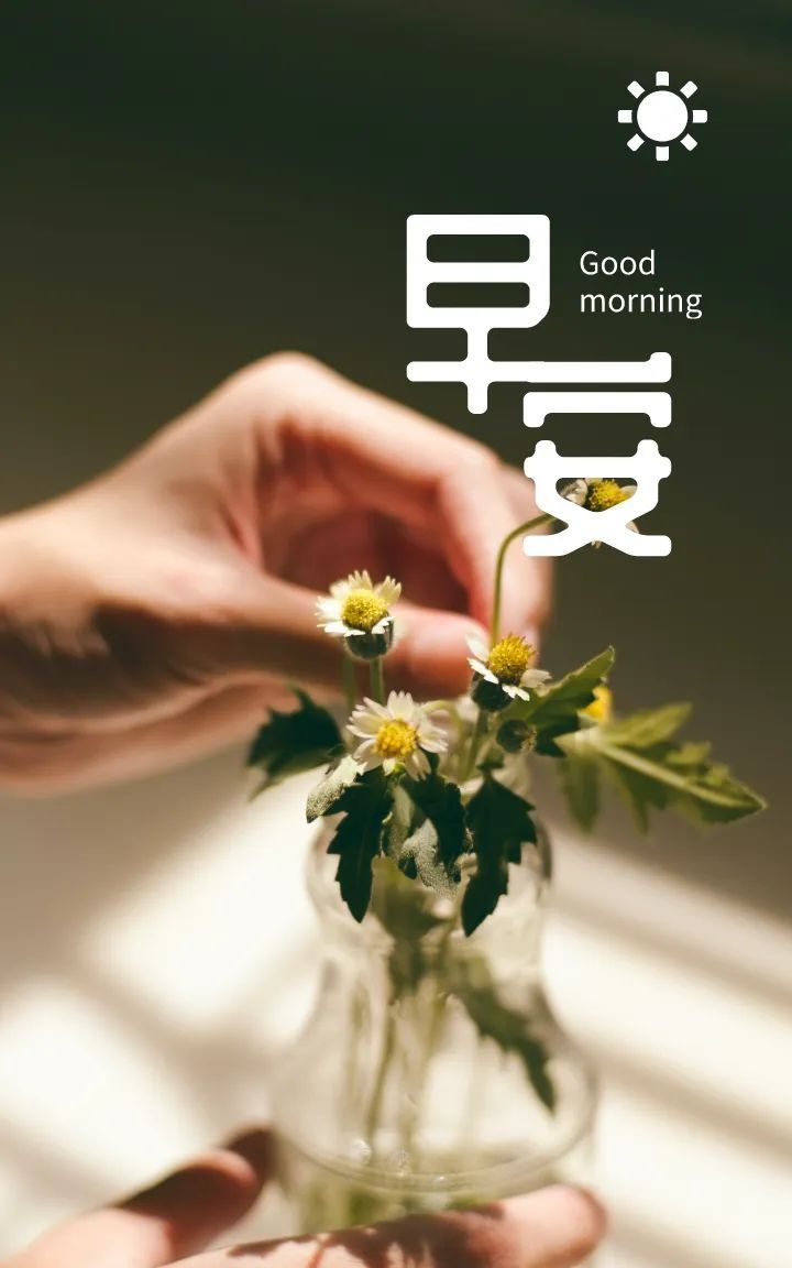 早安图片励志语录