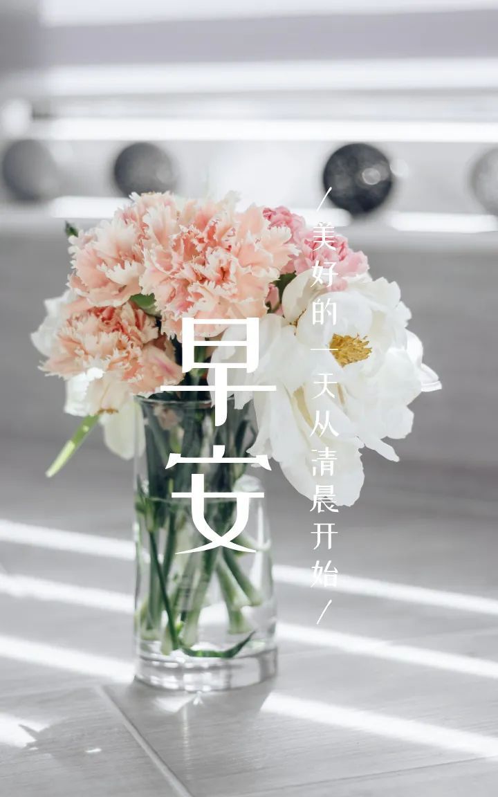 早安图片励志语录