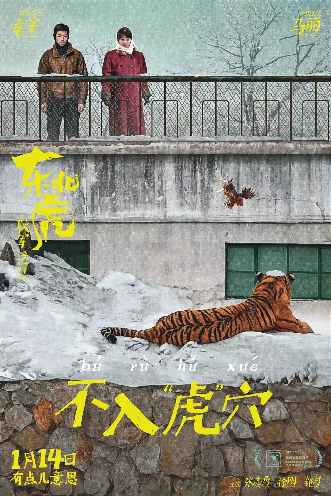 章宇马丽主演金爵奖最佳影片东北虎好看吗你看懂了吗