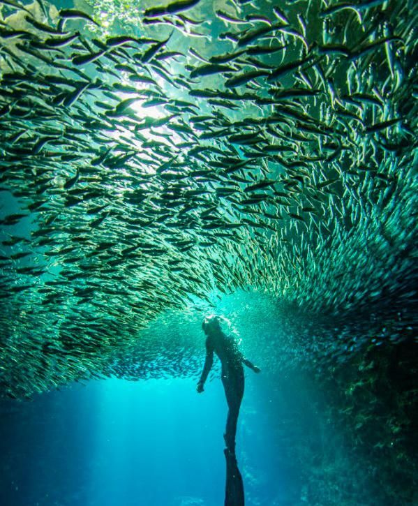 观鲸、看火山、参观原始部落,属于汤加的奇幻之旅休闲区蓝鸢梦想 - Www.slyday.coM 观鲸、看火山、参观原始部落,属于汤加的奇幻之旅休闲区蓝鸢梦想 - Www.slyday.coM