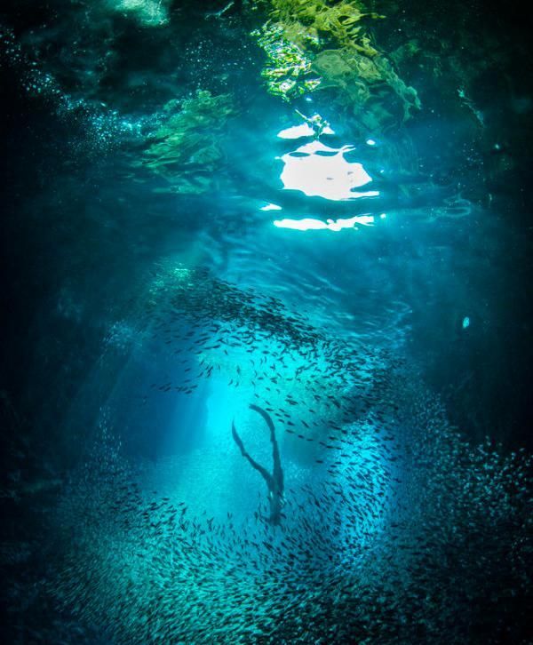 观鲸、看火山、参观原始部落,属于汤加的奇幻之旅休闲区蓝鸢梦想 - Www.slyday.coM 观鲸、看火山、参观原始部落,属于汤加的奇幻之旅休闲区蓝鸢梦想 - Www.slyday.coM