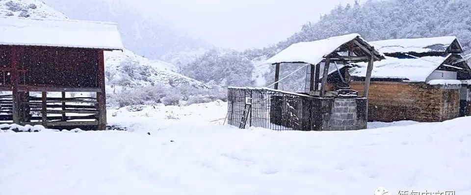缅甸北部小镇下大雪啦！一下就是三天，积雪都堆了好厚一层休闲区蓝鸢梦想 - Www.slyday.coM