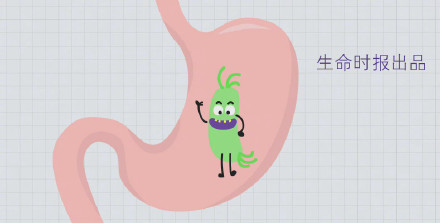 超6成家庭感染幽门螺杆菌　胃癌一级致癌物幽门螺杆菌如何防治？休闲区蓝鸢梦想 - Www.slyday.coM