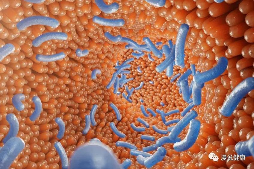 感染了幽门螺杆菌，一定会引发胃癌吗？做好5件事，预防胃病感染休闲区蓝鸢梦想 - Www.slyday.coM