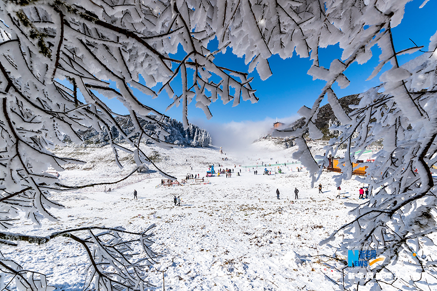 南川金佛山下雪图片