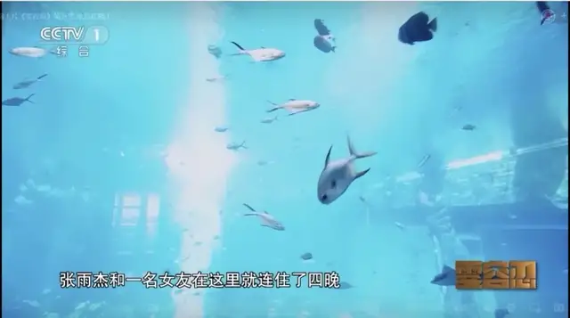 95后干部将7000万公款挥霍一空，女友连换3个，10万套房连住4晚休闲区蓝鸢梦想 - Www.slyday.coM