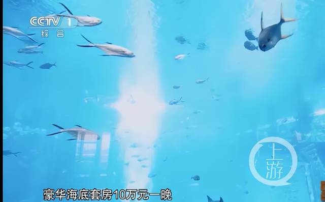 95后干部将7000万公款挥霍一空，女友连换3个，10万套房连住4晚休闲区蓝鸢梦想 - Www.slyday.coM