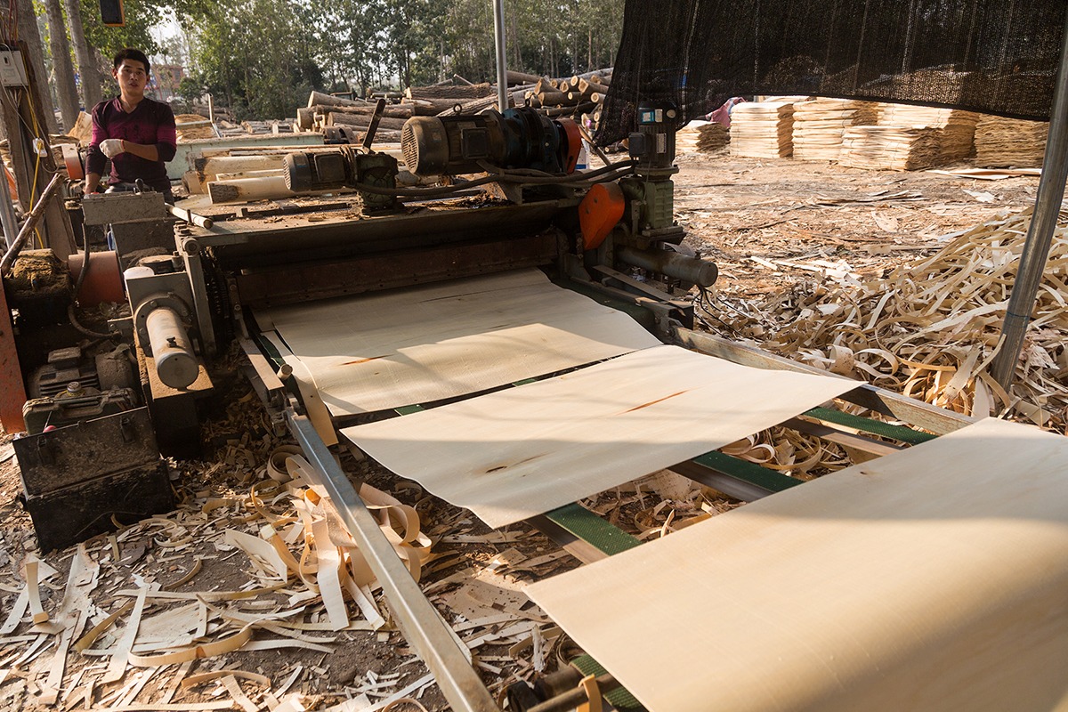 农村最受欢迎的树木加工行业挣钱项目一条龙