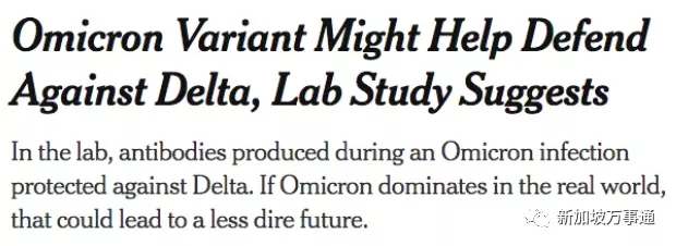 疫情或在2022年终结！冠病口服药接连出现、奥密克戎或成天然疫苗休闲区蓝鸢梦想 - Www.slyday.coM