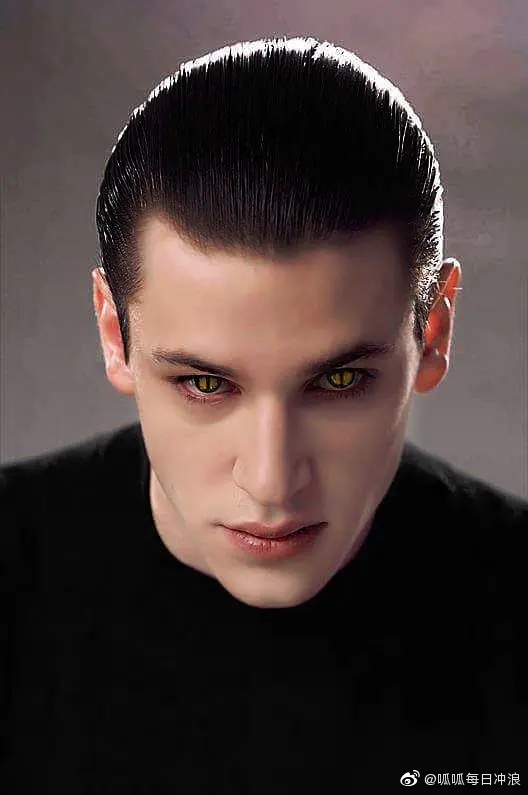 少年汉尼拔加斯帕德尤利尔因滑雪事故受伤去世