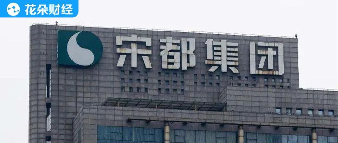 借贷难抵债痛宋都股份蹭锂解困