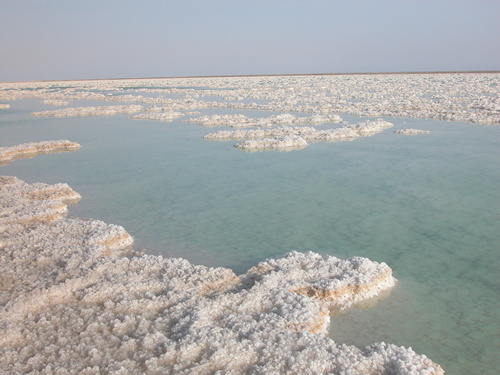 罗布泊正在"复活"!"死亡之海"变碧波荡漾,水是从哪儿来的?|淡水|罗布