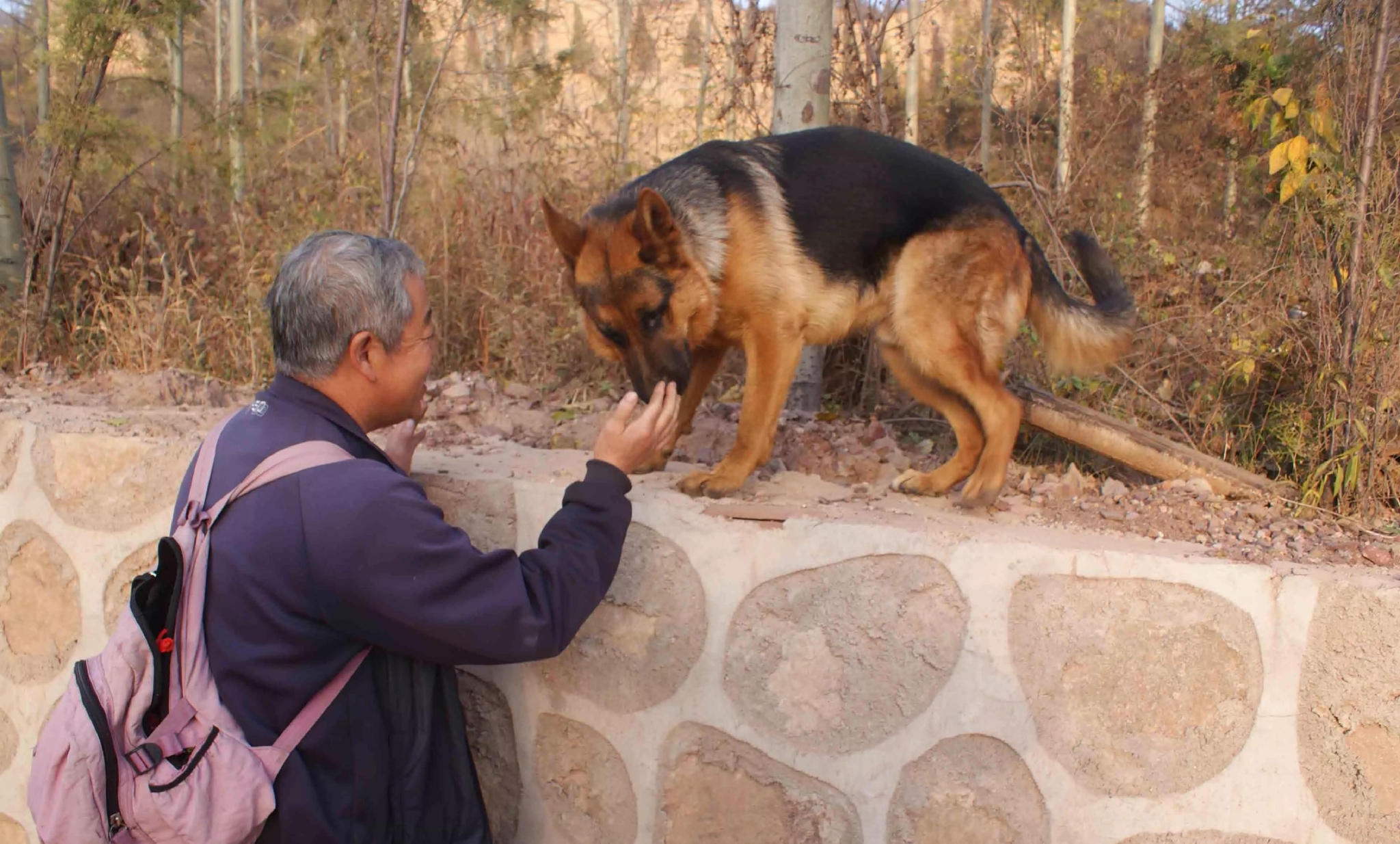 母狼带幼崽流浪,被孤寡老人收养,4年后老人去世,狼群刨土埋葬休闲区蓝鸢梦想 - Www.slyday.coM 母狼带幼崽流浪,被孤寡老人收养,4年后老人去世,狼群刨土埋葬休闲区蓝鸢梦想 - Www.slyday.coM