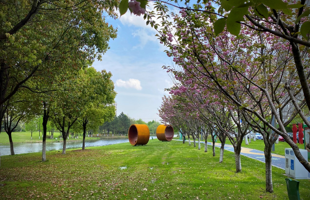 福利来啦江苏94个便民型公园绿地全新上线附名单