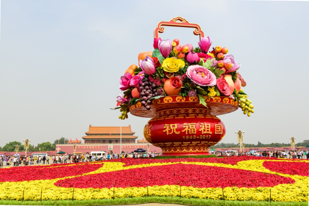自育花园小菊在天安门国庆花坛中全面替代国外品种休闲区蓝鸢梦想 - Www.slyday.coM
