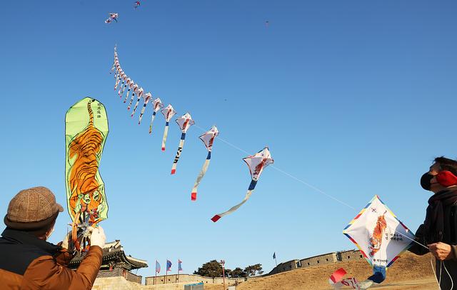 老虎上天韩国民众古城前放飞老虎风筝迎农历新年
