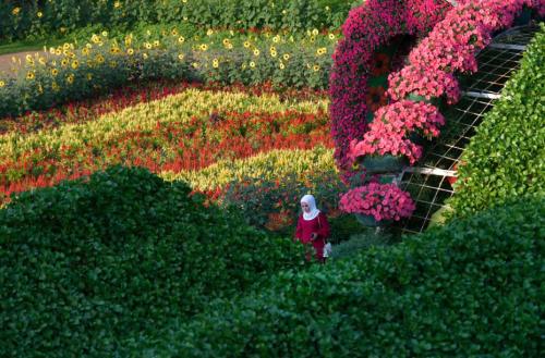 迪拜人口_中国护照落地签迪拜30天,迪拜居留卡