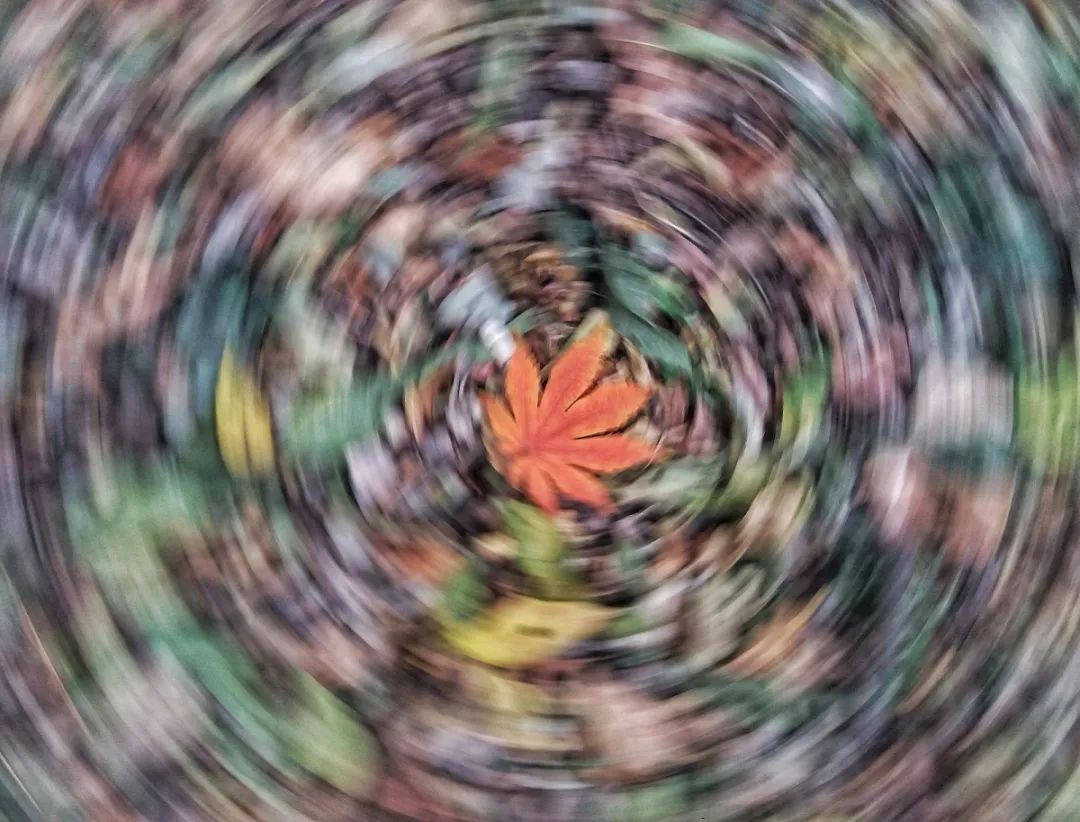 手机虚化效果太假!4招教你实现单反奶油般虚化!|人像|手机|拍摄_新浪新闻