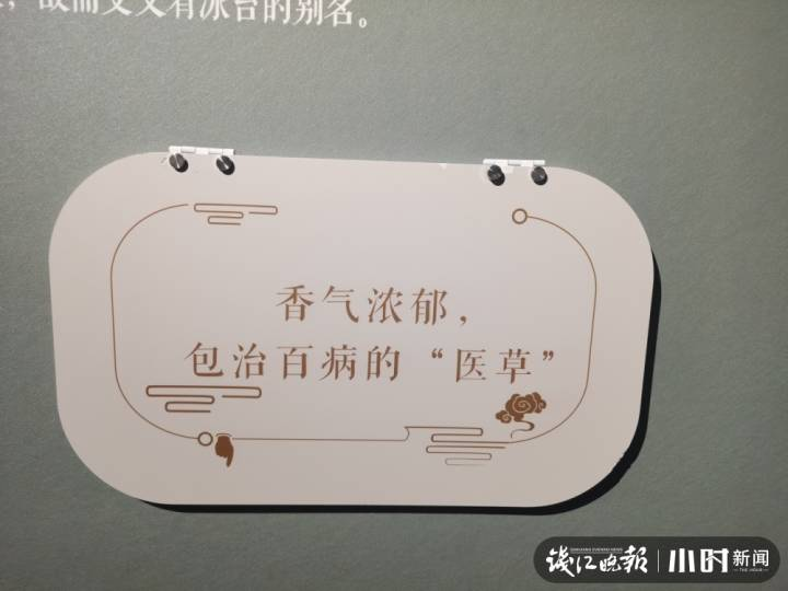 除了文字介绍,绘图及标本等之外,每种植物都配有互动翻板,让大家在玩