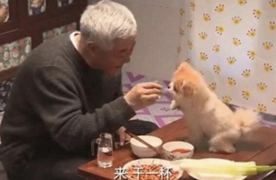 2022年央视春晚喜剧类节目最新路透！赵本山与郭德纲再度无缘休闲区蓝鸢梦想 - Www.slyday.coM