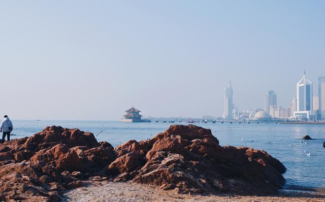 青島冬季最熱門景點建於清朝的第一個人工碼頭成群海鷗來過冬