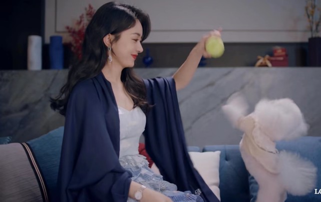 赵丽颖更新视频，下班给工作人员发红包，回家抱爱犬自拍太治愈休闲区蓝鸢梦想 - Www.slyday.coM