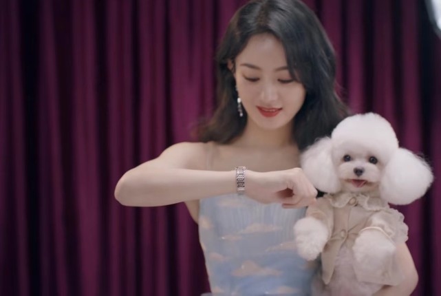 赵丽颖更新视频，下班给工作人员发红包，回家抱爱犬自拍太治愈休闲区蓝鸢梦想 - Www.slyday.coM