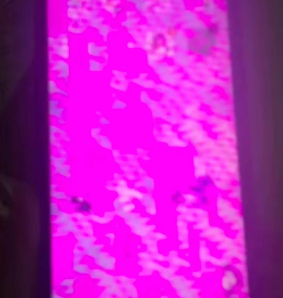 大量“粉屏”现身iphone13，你“中奖”了吗？休闲区蓝鸢梦想 - Www.slyday.coM