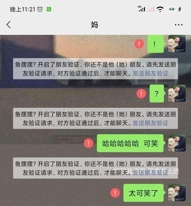 “法庭见”！被亲生父母再次遗弃的刘学州，决定起诉亲生父母休闲区蓝鸢梦想 - Www.slyday.coM