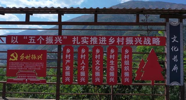 「云视网评」产业兴旺铺就乡村振兴"幸福路"|乡村振兴|农民_新浪新闻