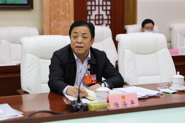 贺州市代表团审议自治区人大常委会工作报告