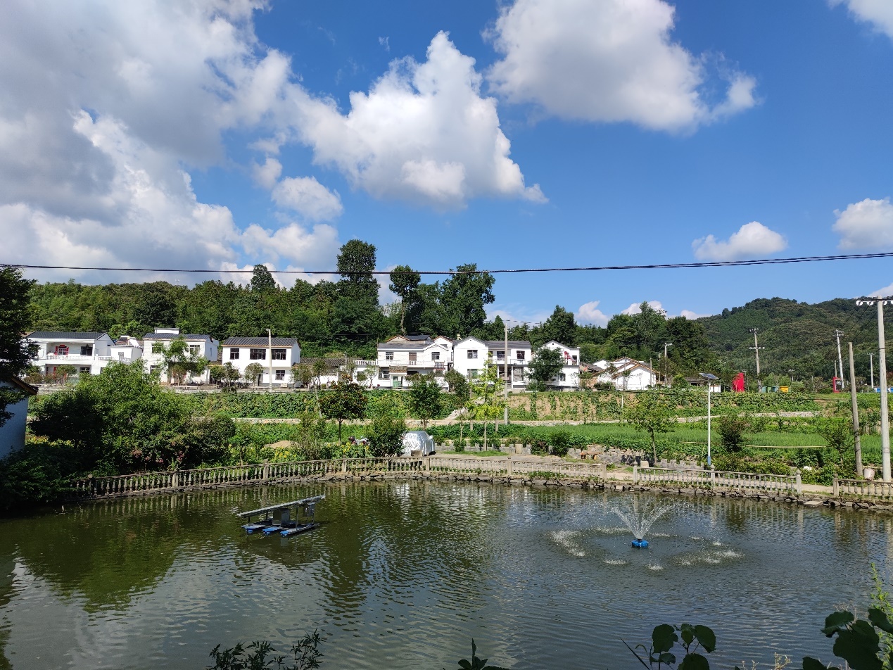 河南新县乡村振兴路上示范区建设如火如荼