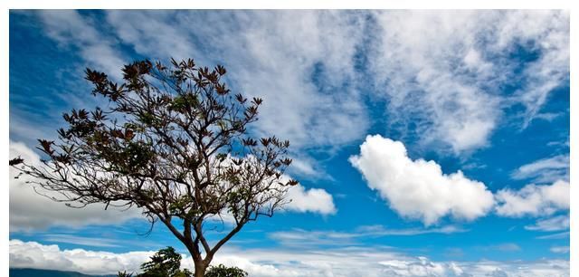 大龄剩女迫切想要恋爱，同居后瘾君子的状态下，依旧选择生下孩子休闲区蓝鸢梦想 - Www.slyday.coM