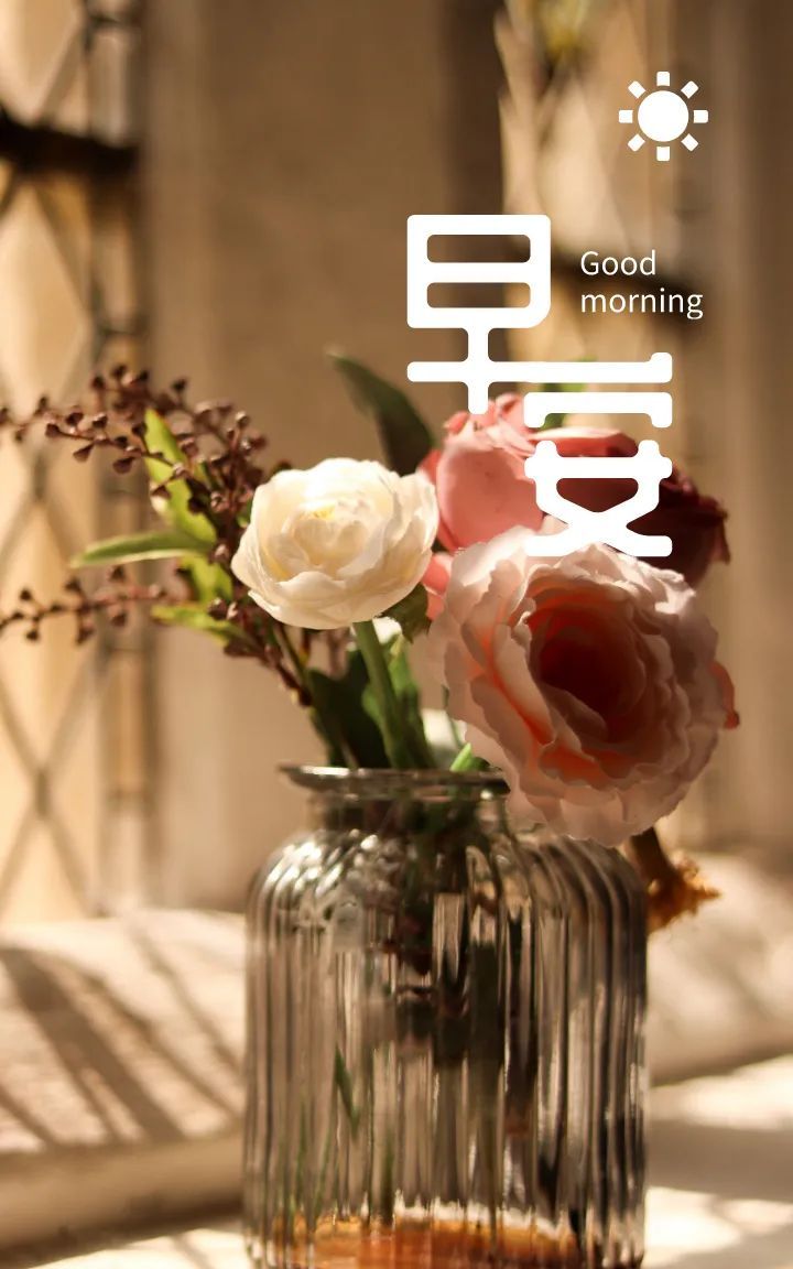 早上好图片语录正能量