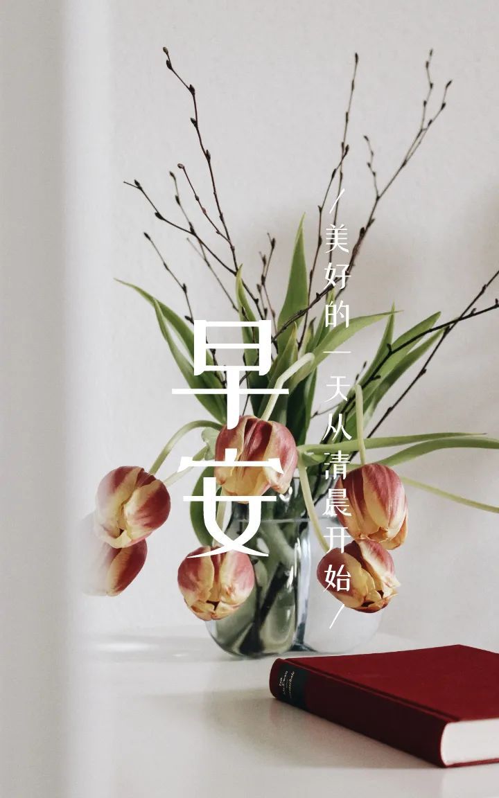 早上好图片语录正能量